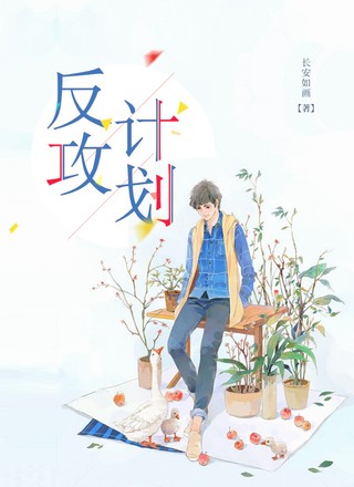 反攻计划