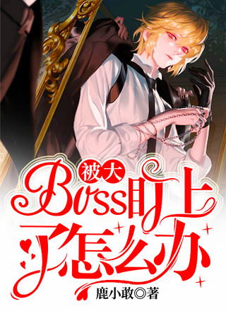 被大BOSS盯上了怎么办