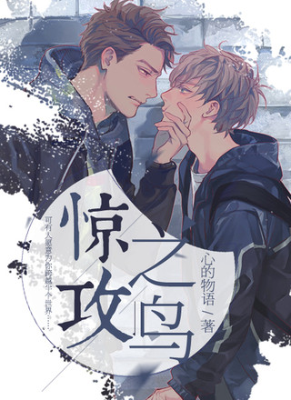 惊攻之鸟