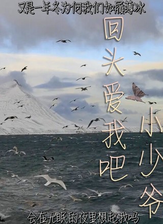 回头爱我吧小少爷