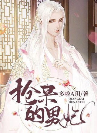 抢来的男妃