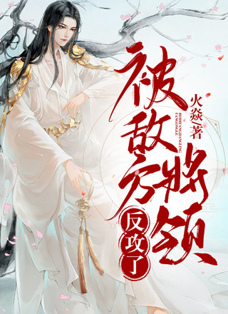 被敌方将领反攻了