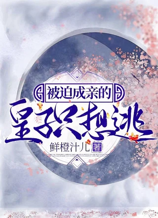 被迫成亲的皇子只想逃