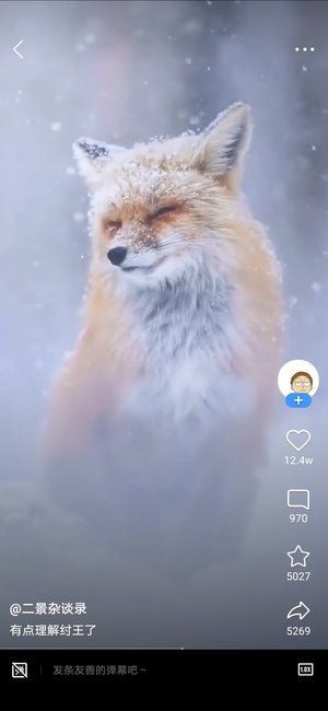 渣洋崽子434688186