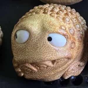 养只玉兔叫嫦娥