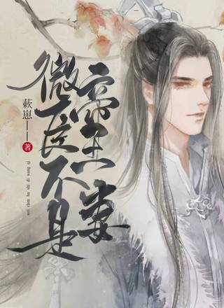 微臣不是帝王妻