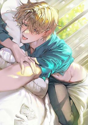 喵不吃鱼