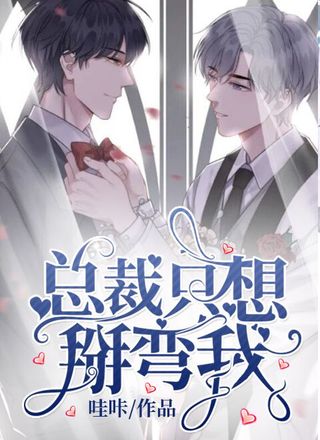总裁只想掰弯我