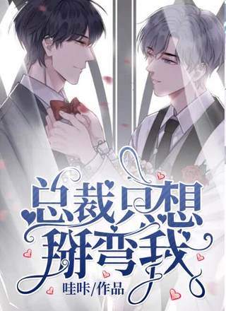 总裁只想掰弯我