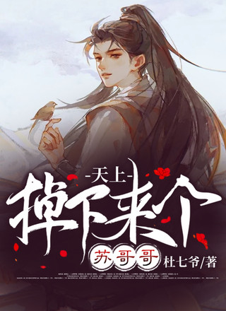 天上掉下来个苏哥哥